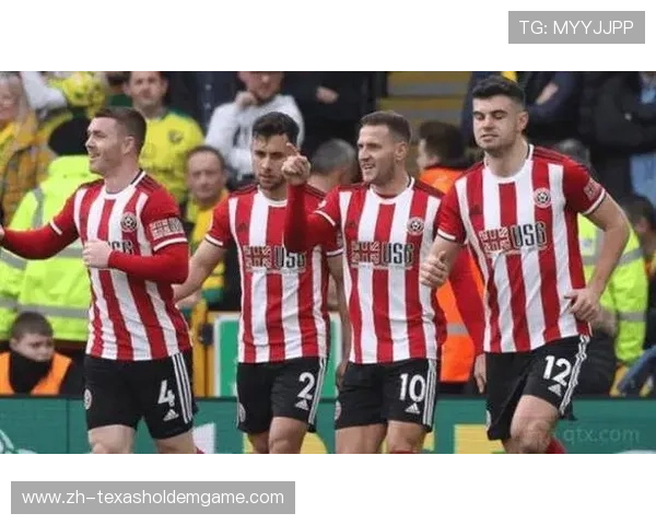 桑德兰主场低位防守体系成效显著，本赛季12主场不败